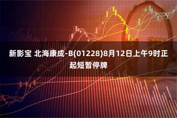 新影宝 北海康成-B(01228)8月12日上午9时正起短暂停牌